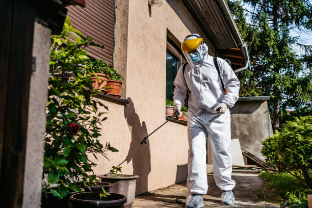 Professional Pest Control in Sidney, NE