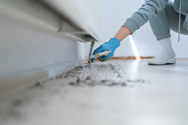 Best Rat Extermination Near Me  in Sidy, NE